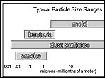 Diagram shows how troublesome dust particles can be to your health