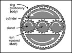 Disassembled "Peghead" gears