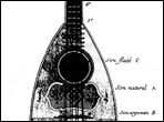 Drawing of a Neapolitan mandolin