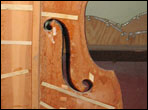 Inside view of upright bass top revealed numerous repairs