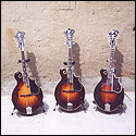 Front view of a set of three Loar mandolins