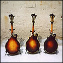 Back view of a set of three Loar mandolins