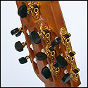 Back view of the peghead of the 13-string Chiavi-Miolin guitar