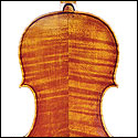 Outline of a Del Gesu violin