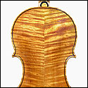 Outline of a Rugeri violin