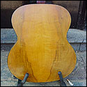 Back view of the harp guitar