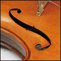 Top view of a Brazilian rosewood violin