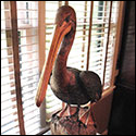 Carving of a pelican on a Brazilian rosewood stump by Wade Lowe