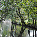 View of the park near Olivier Fanton d'Andon's shop