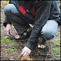 Mushroom hunting in the woods near Olivier's shop