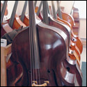 Several completed basses