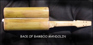 Full view of the back of the Bamboo Mandolin