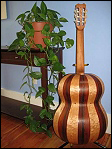 Another back view of a six 6 string stave-back guitar